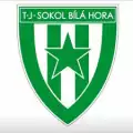 TJ Sokol Bílá Hora B