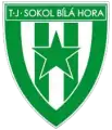 TJ Sokol Bílá Hora