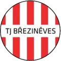 TJ Březiněves