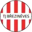 TJ Březiněves
